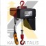 ELECTRIC CHAIN HOIST DELTA DOUBLE SPEED 500KG - 380V 